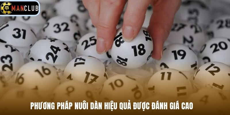 Phương pháp nuôi dàn hiệu quả được đánh giá cao 