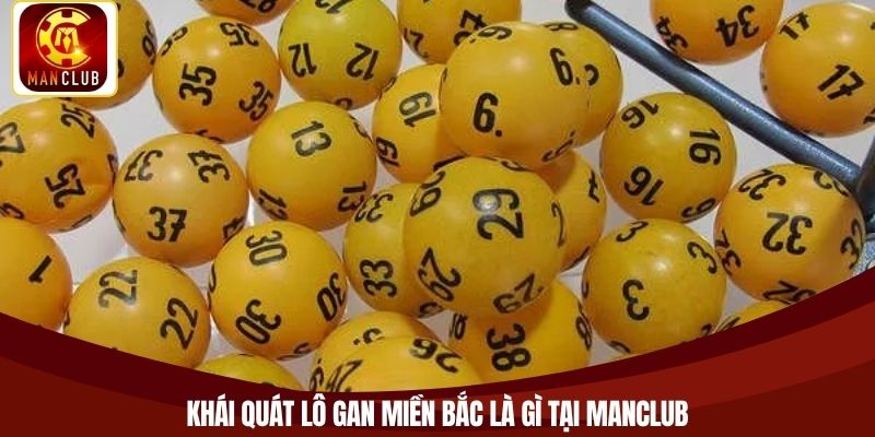 Khái quát lô gan miền Bắc là gì tại Manclub